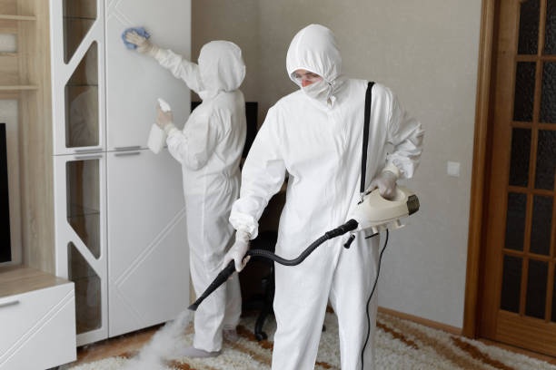 Best Attic Mold Removal  in Passaic, NJ